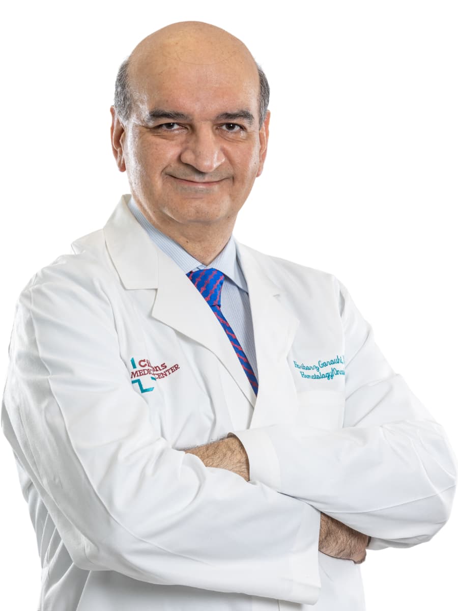 Dr. Fariborz Gorouhi